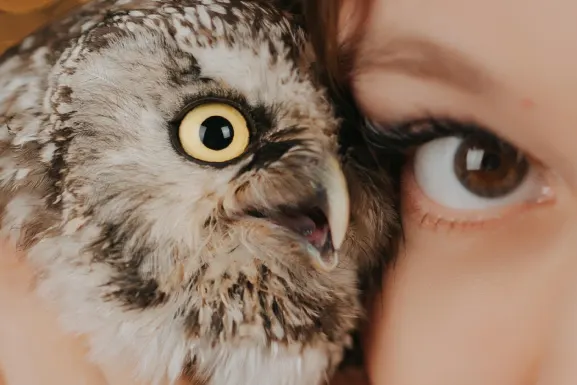 PlayHub Casino Assistance